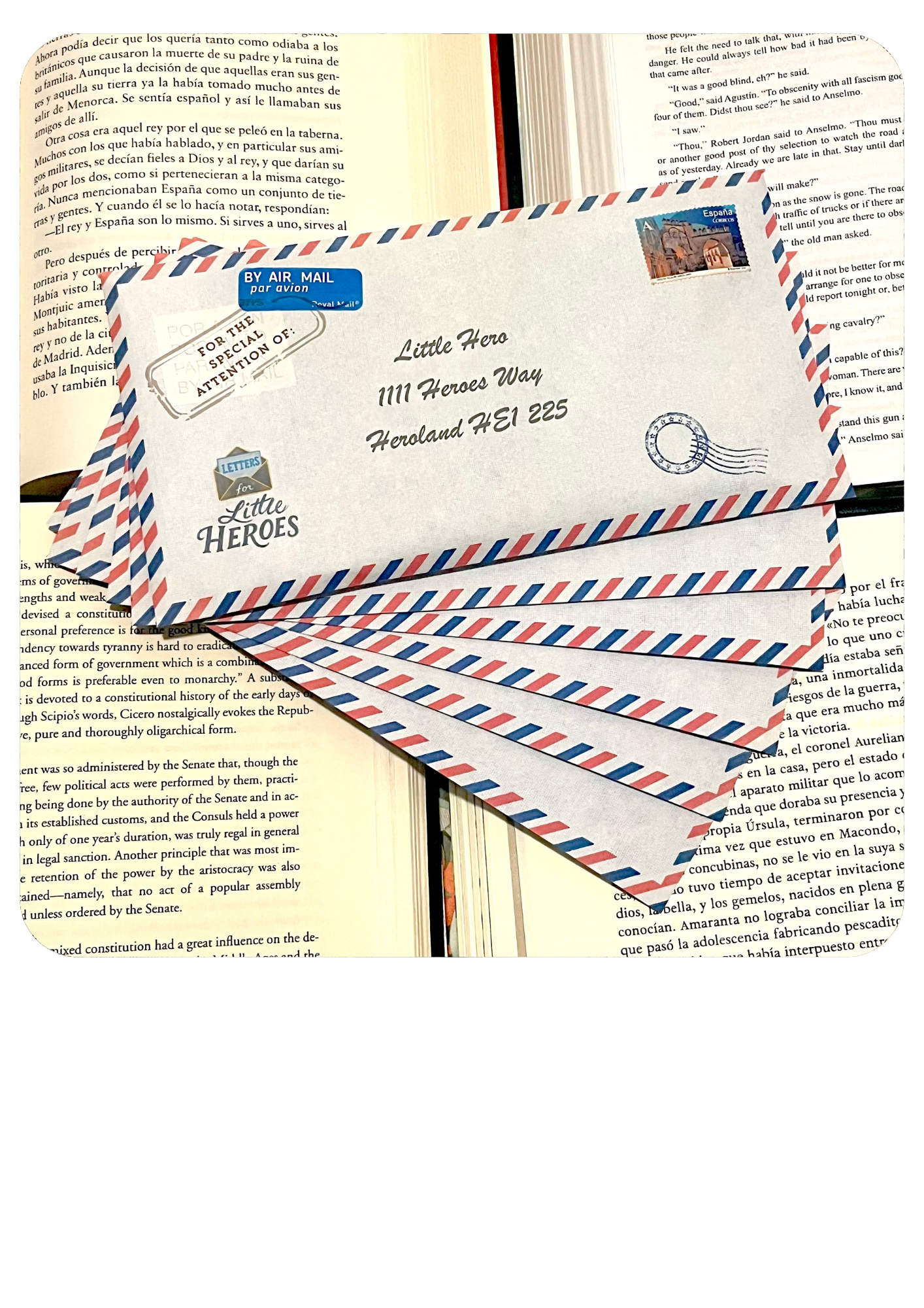 6 Month Subscription